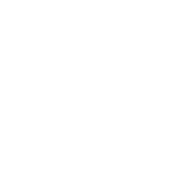 Banner Spear