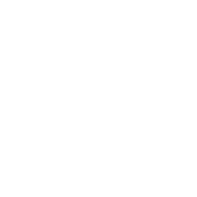 Boneshaper