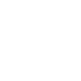 Frozen Fist