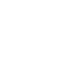 Pyroclast