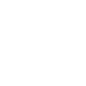 Snowdancer
